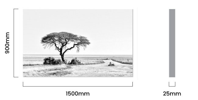 cielo_etosha_canvas